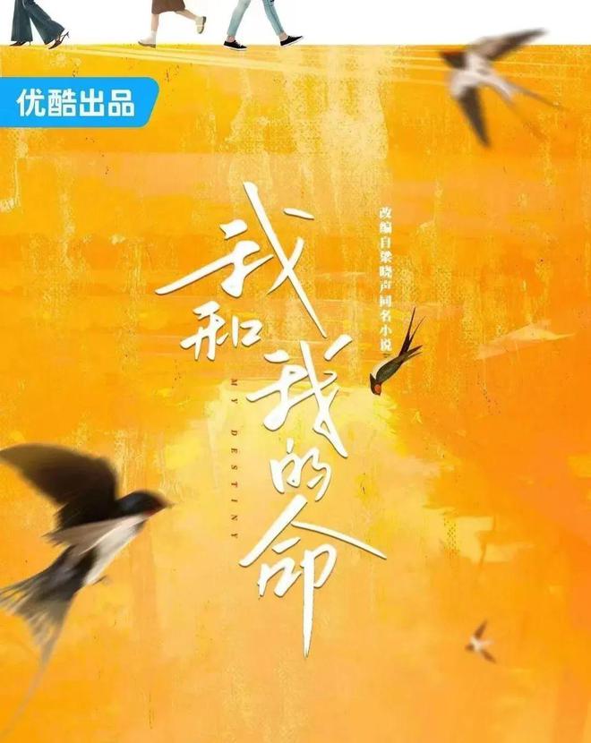   《我和我的命》 